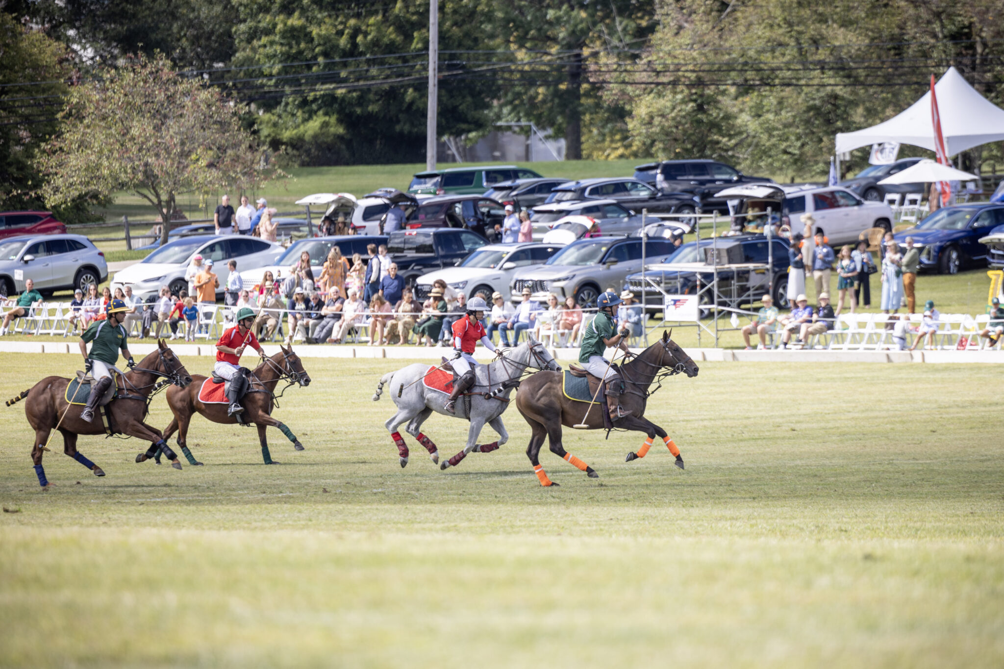 Why People Play Polo in Pittsburgh Family House